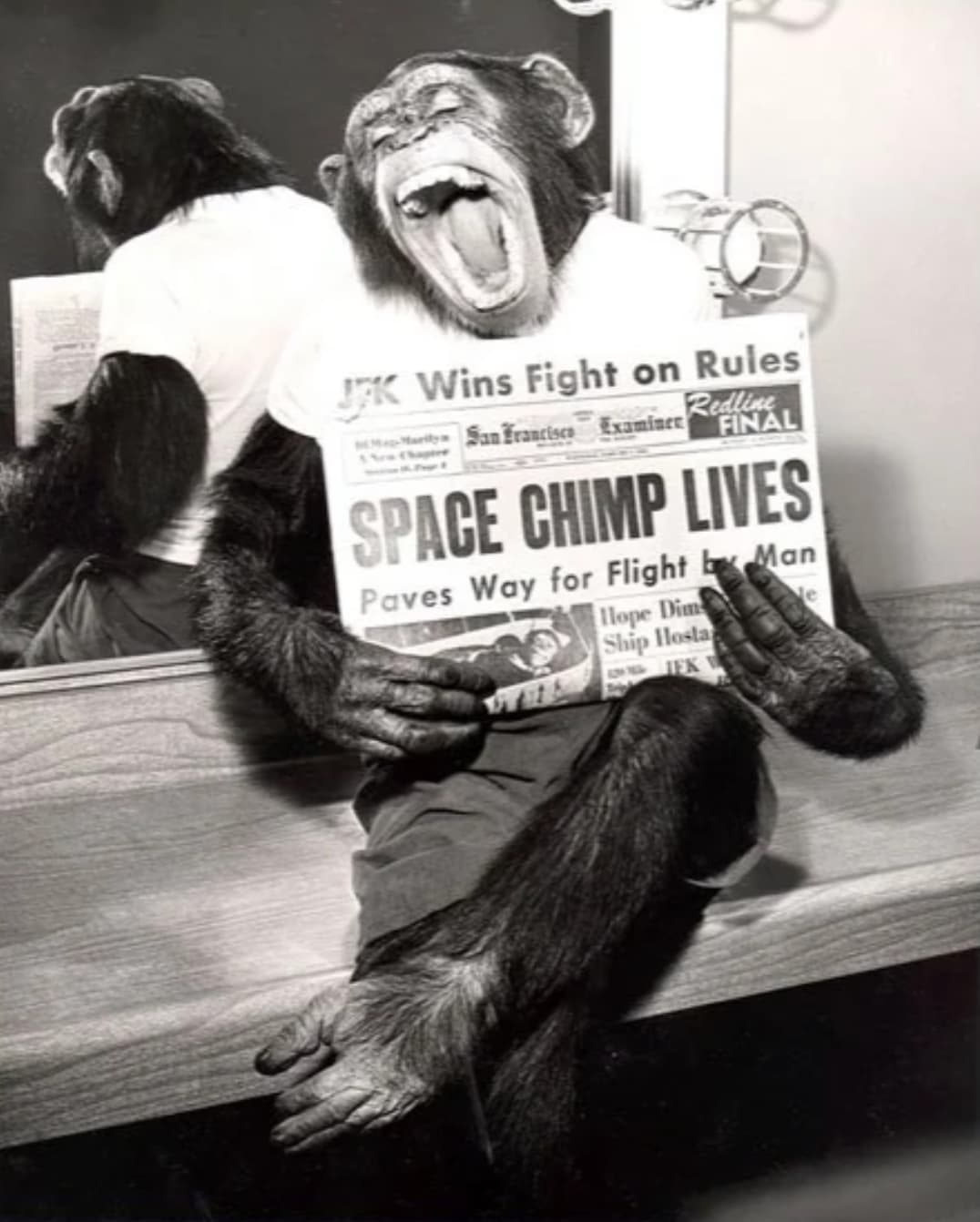 space chimp ham - 5 Jfk Wins Fight on Rules San Franciscs Examiner Redline Final Space Chimp Lives Paves Way for Flight Man Hope Dim Ship Hosta Ifk